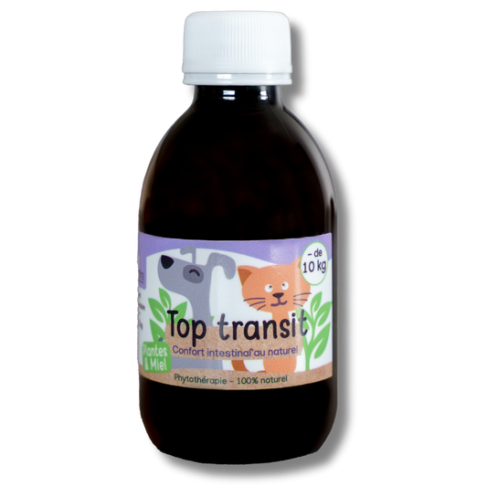 Top Transit Natural Syrup 200mL - Dogs and Cats - 10kG