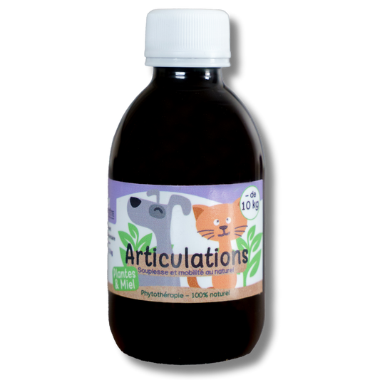 Sirop naturel Articulation 200mL – Chiens et Chats de -10kG