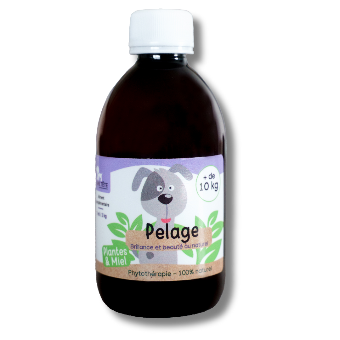 Natural Coat Syrup 300mL - Dogs + 10KG