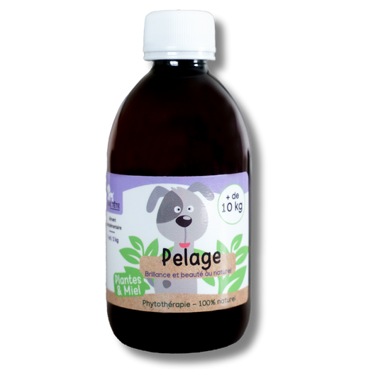 Natural Coat Syrup 300mL - Dogs + 10KG